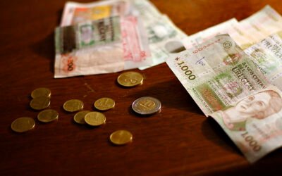 El Impacto Económico de la Reinserción Laboral